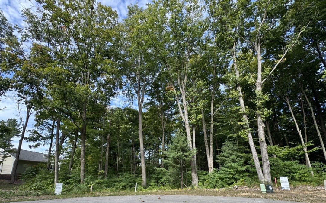 14672 Crest View Court